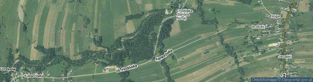 Zdjęcie satelitarne Osiedle Hodówka os.